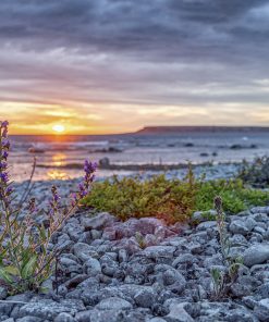Ekstakusten, sommarkväll